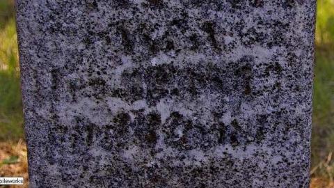 Pioneer Pruning - Tapley-Pioneer-Cemetery17.jpg