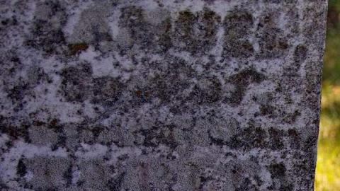 Pioneer Pruning - Tapley-Pioneer-Cemetery5.jpg