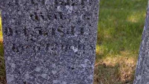 Pioneer Pruning - Tapley-Pioneer-Cemetery18.jpg