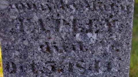 Pioneer Pruning - Tapley-Pioneer-Cemetery6.jpg