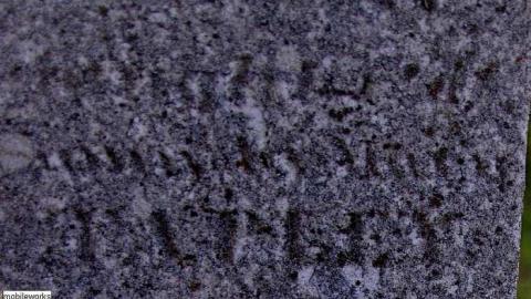 Pioneer Pruning - Tapley-Pioneer-Cemetery19.jpg