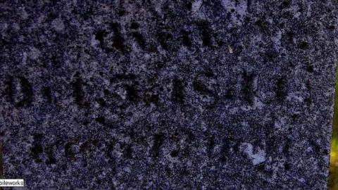 Pioneer Pruning - Tapley-Pioneer-Cemetery7.jpg