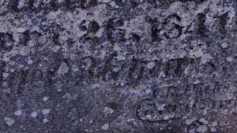 Pioneer Pruning - Tapley-Pioneer-Cemetery8.jpg