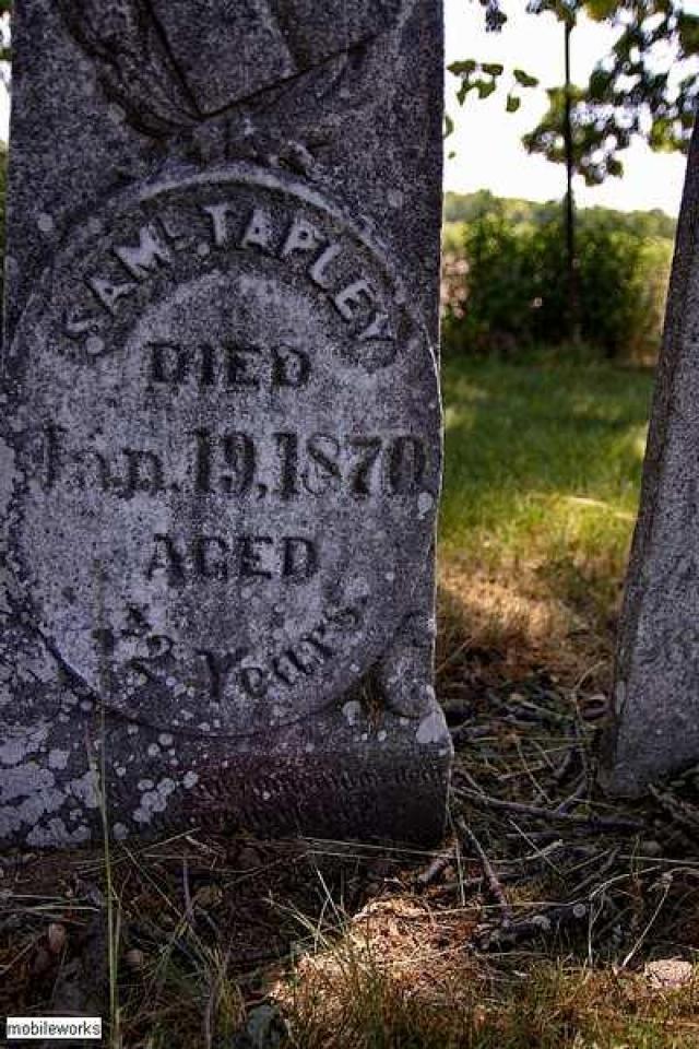 Tapley Pioneer Cemetery photo 5