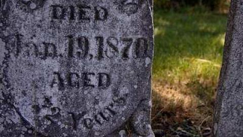 Pioneer Pruning - Tapley-Pioneer-Cemetery21.jpg