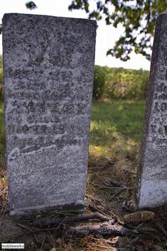 Tapley Pioneer Cemetery photo 3