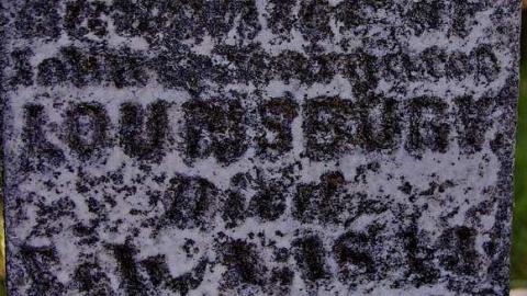 Pioneer Pruning - Tapley-Pioneer-Cemetery11.jpg