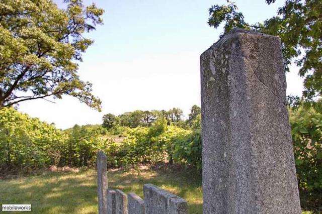 Tapley Pioneer Cemetery photo 4