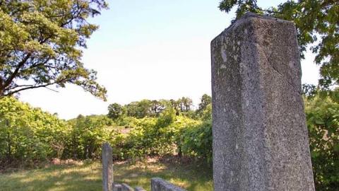 Pioneer Pruning - Tapley-Pioneer-Cemetery13.jpg