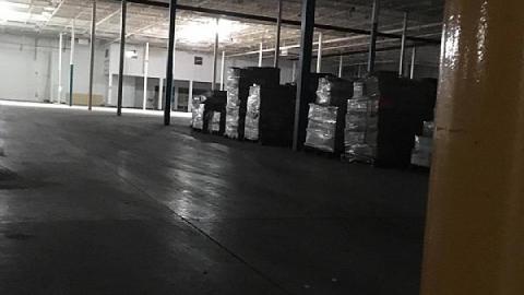 Nocturnal Visit - Churchillls-Rona33.jpg