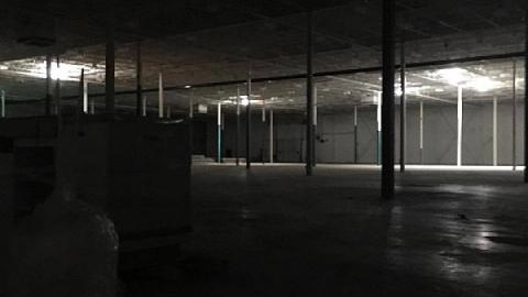 Photo from Nocturnal Visit