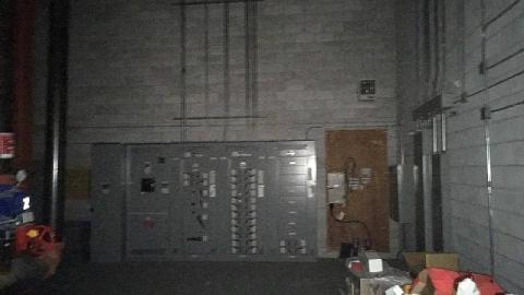 Photo from Nocturnal Visit