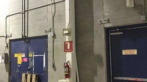 Photo from Nocturnal Visit