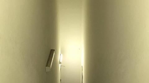 Nocturnal Visit - Churchillls-Rona39.jpg