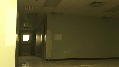 Nocturnal Visit - Churchillls-Rona41.jpg