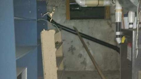 Go Hard, or Go Home photo 3