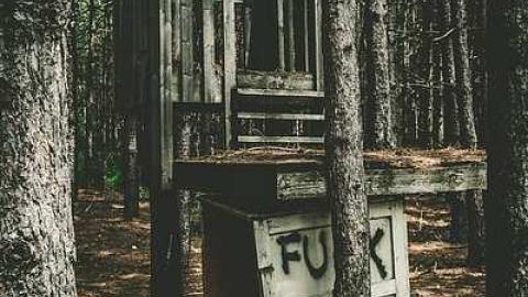 2017-06-15 - Pefferlaw-Shining-House95.jpg