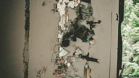 Pefferlaw Shining House photo 4