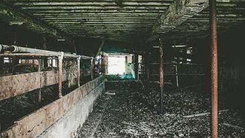 2017-06-15 - bando-34.jpg