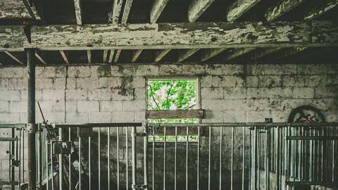 2017-06-15 - bando-37.jpg