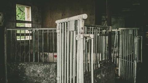 2017-06-15 - bando-38.jpg