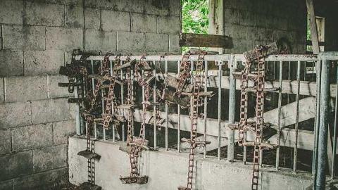 2017-06-15 - bando-39.jpg