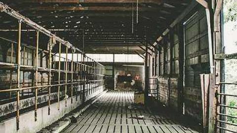 2017-06-15 - bando-43.jpg