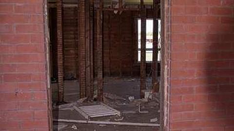 Vintage Virus photo 2