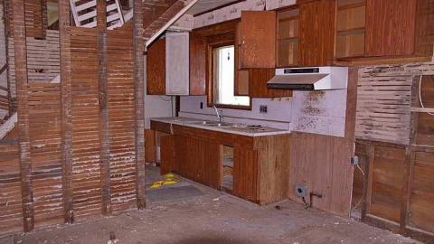 Vintage Virus photo 5