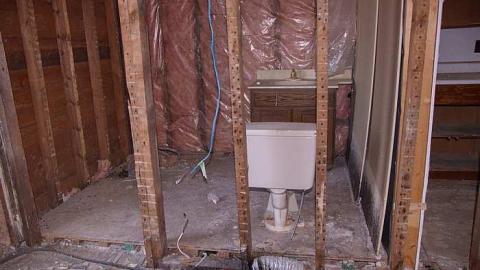 Vintage Virus photo 3