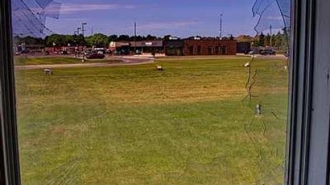 Vintage Virus - Norfolk County, Ontario