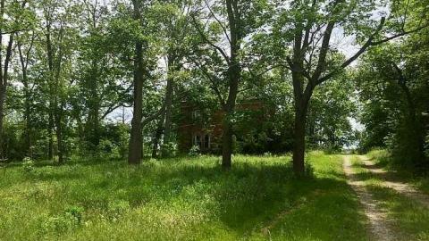 Hoarder House- June '17 - alFullSizeRender - Copy (10).jpg