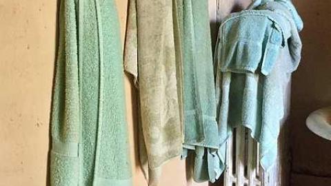 Hoarder House- June '17 - FullSizeRender - Copy (28) - Copy.jpg