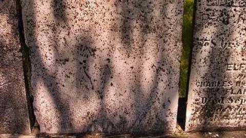 Veteran Here - St.-Abner-Landon-Cemetery13.jpg