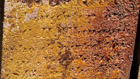 Veteran Here - St.-Abner-Landon-Cemetery15.jpg