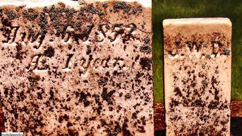 Veteran Here - St.-Abner-Landon-Cemetery16.jpg