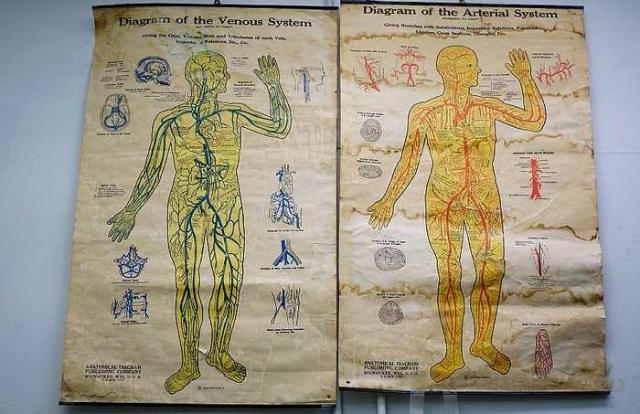 Niagara Funeral Home photo 3