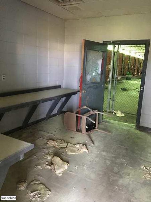 June 17th, 2017 Visit - IMG_0270.jpg