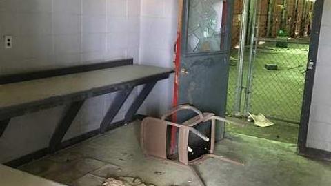 June 17th, 2017 Visit - IMG_0270.jpg