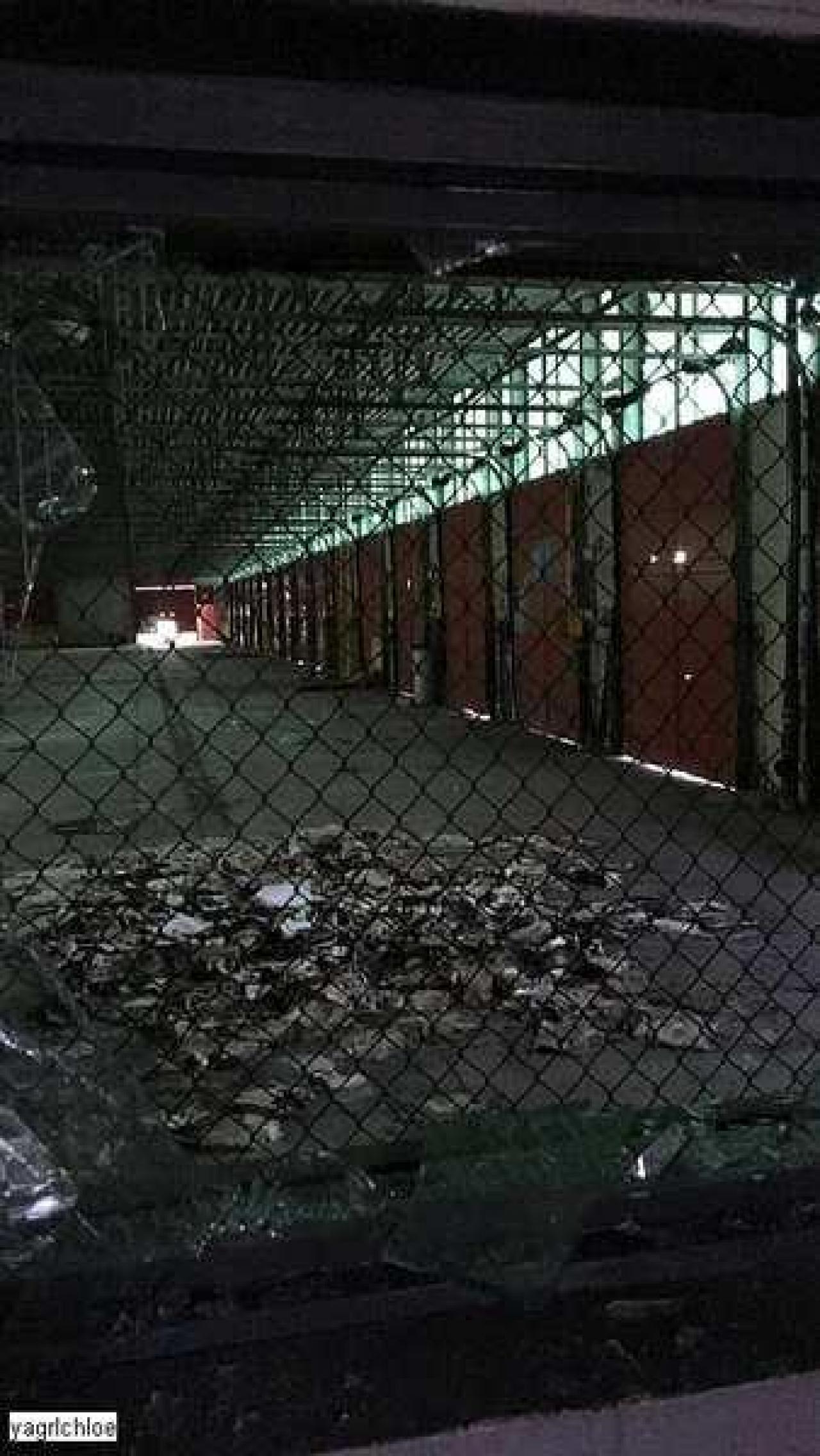 June 17th, 2017 Visit - IMG_0303.jpg