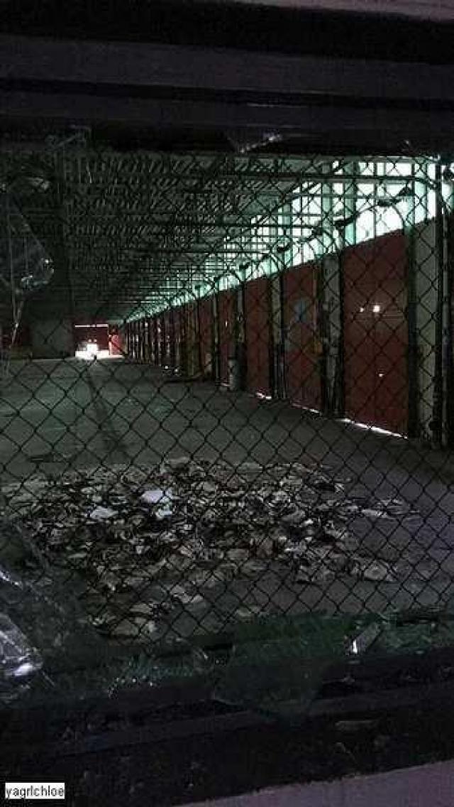 June 17th, 2017 Visit - IMG_0303.jpg