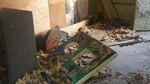 Vaughan House - House-with-a-View243.jpg