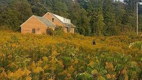 Vaughan House - House-with-a-View259.jpg