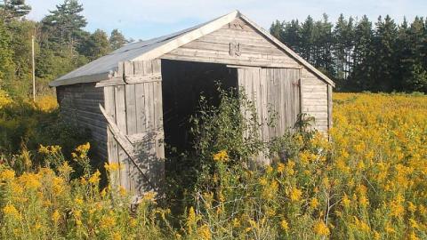 Vaughan House - House-with-a-View262.jpeg