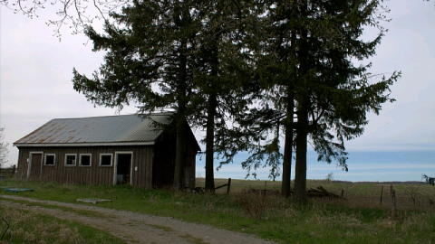 King Barn - 20170618_233554.png