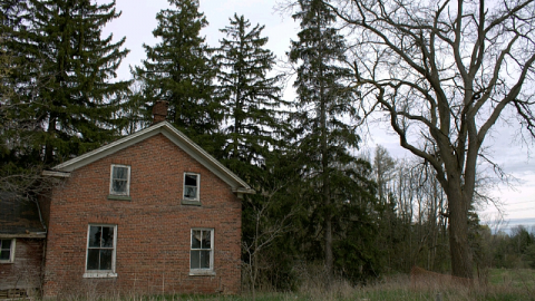 King Barn - 20170618_233613.png