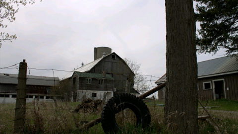 Photo from King Barn