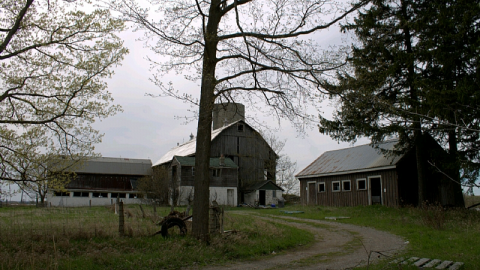 Photo from King Barn