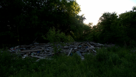 Photo from Cedar Estate