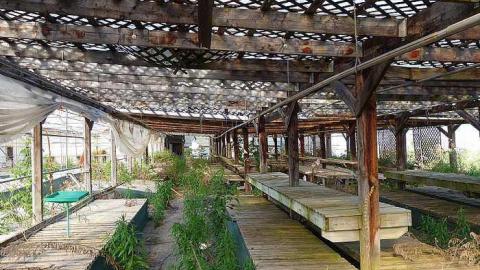 What Plant Where '17 - DSC00005.jpg